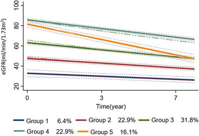 Medium-term and long-term renal function changes with direct oral anticoagulants in elderly patients with atrial fibrillation